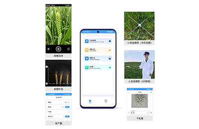 珠海市小麦亩穗数分析仪IN-XM02